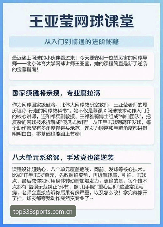 333体育官方网站使用指南：从入门到精通的完整流程解析